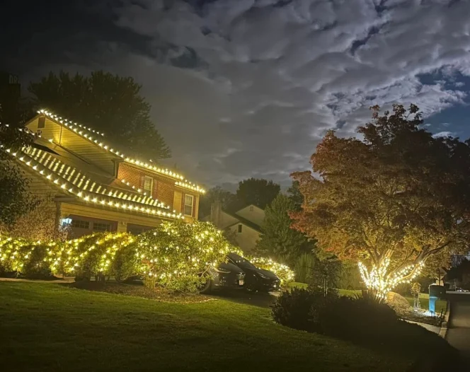 Power Tech Christmas and Event Lighting about media2