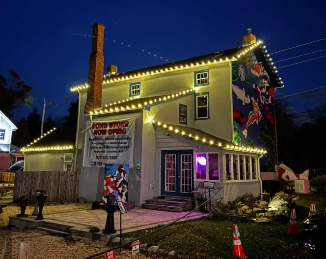 Power Tech Christmas and Event Lighting home media3